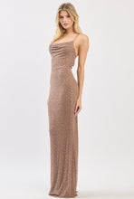 Load image into Gallery viewer, Mocha Mousse Mesh Maxi Dress