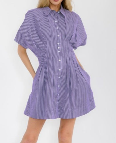 Purple Stripe Button Down Dress