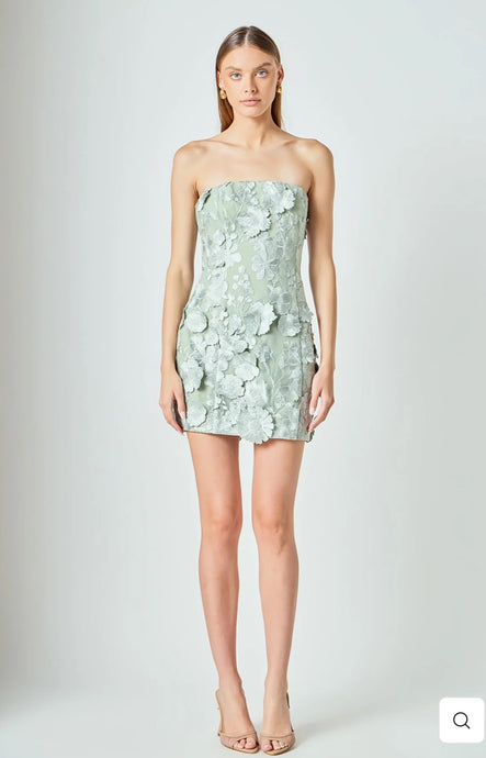 Floral Embroidered Mini Dress