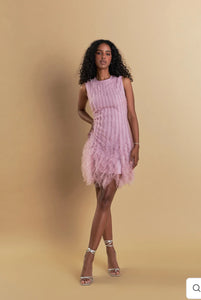 Mulberry Tulle Ruffled Mini Dress