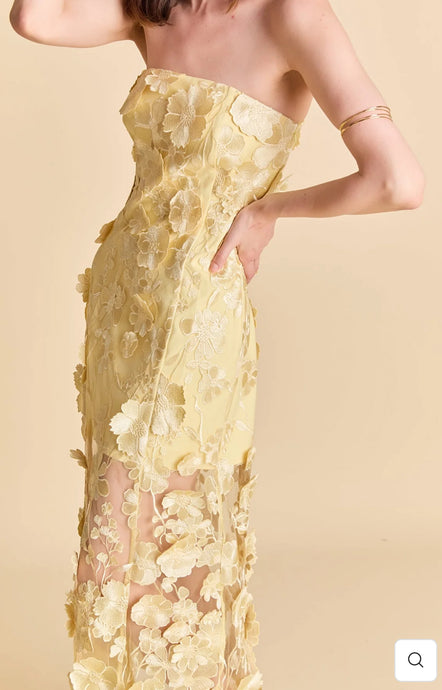 Strapless Floral Embroidered Maxi Dress