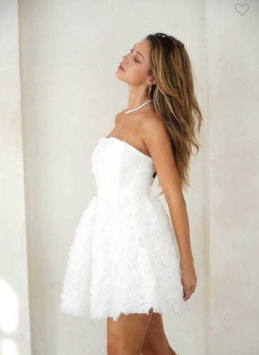 Off White Organza Rossette Dress