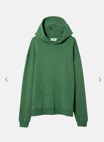 Core Hoodie- Vintage Forest